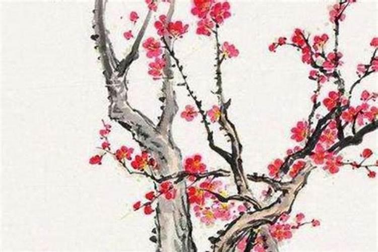 实习没找到实习咋整？