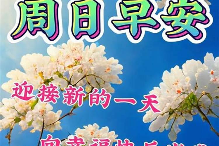 2月2龙抬头是几月几号