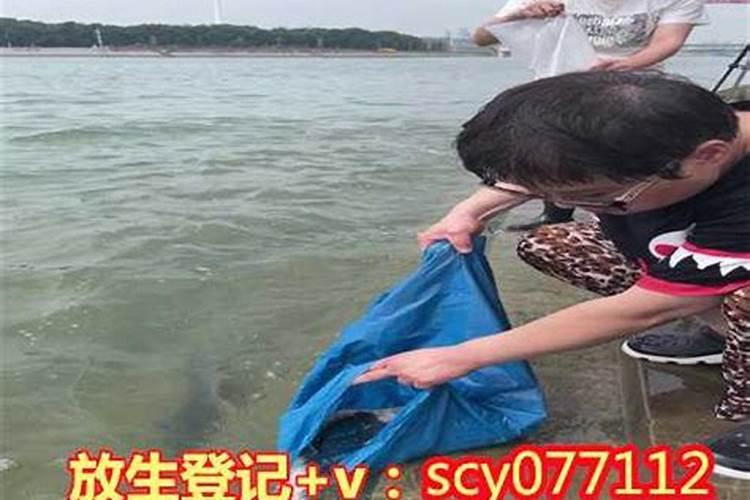85年正月初二的双子座(男)和85年8月18的天秤座(女)配吗？
