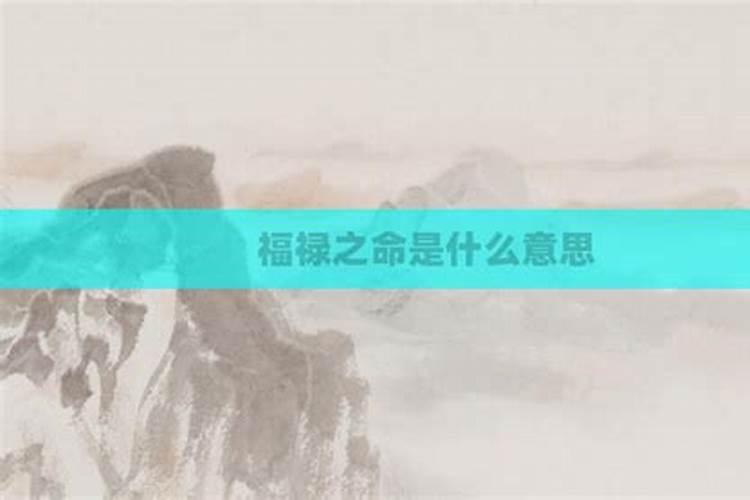 荣华之命是什么意思