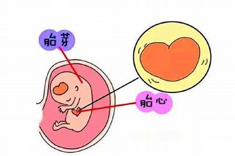 没有胎心按照佛家的讲法是什么因果  百度宝宝知道