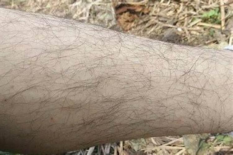 男性腿毛浓密有什么说法么？