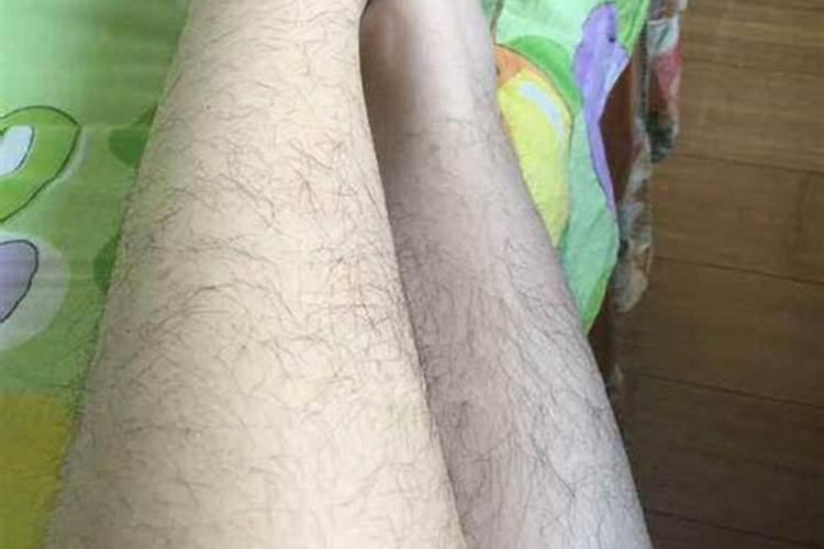 腿毛较长,算是一种福气吗？