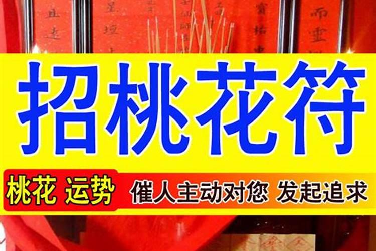 77年属蛇2025的运势及运程如何
