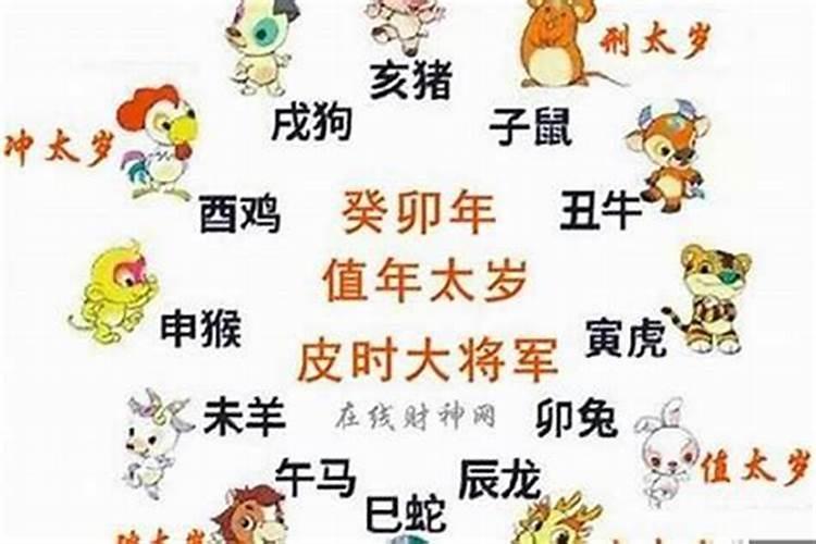 属马的本命年是哪一年？