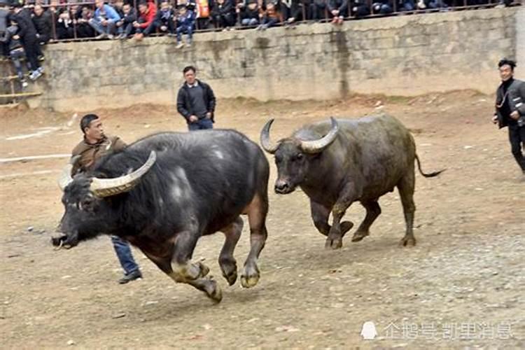 梦见游戏中的车掉进万丈深渊的预兆