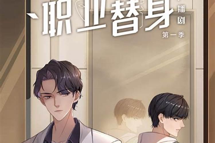 职业替身讲的什么