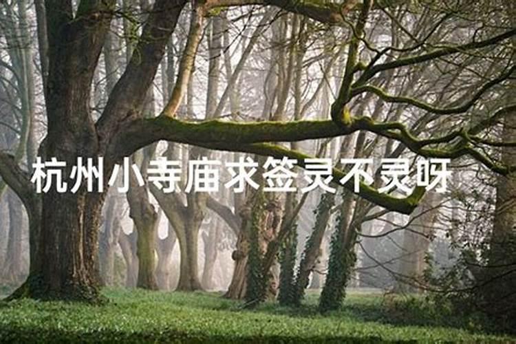 广西有哪些旅游景点值得去门票优惠政策
