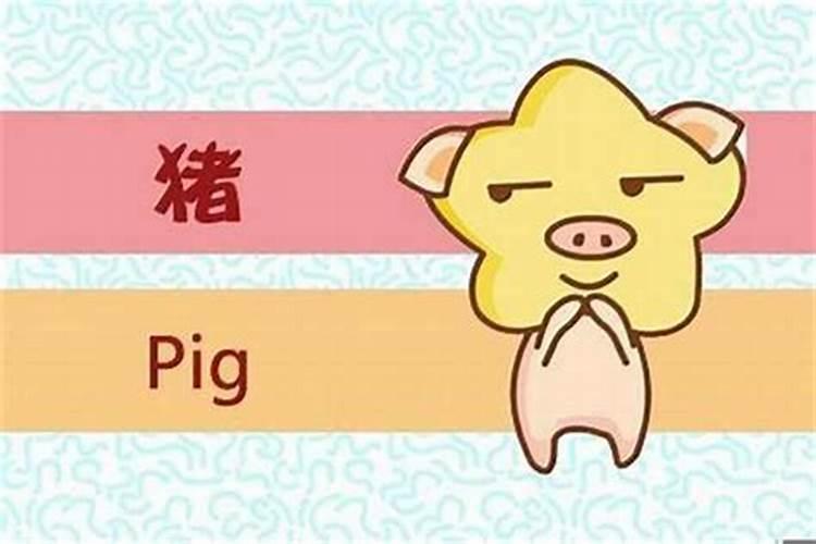 化解犯太岁最佳方法2025年