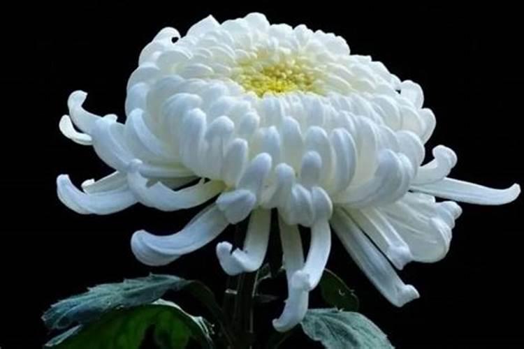 中元节想念天堂妈妈伤感短句