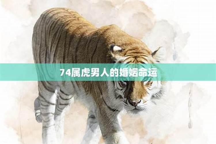 62年属虎男孩什么属相最相配