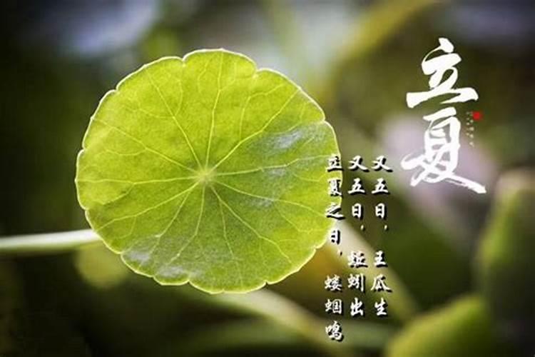 梦见领导对我工作不满意的预兆