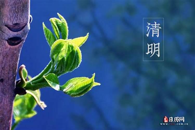 清明祭祖要注意什么