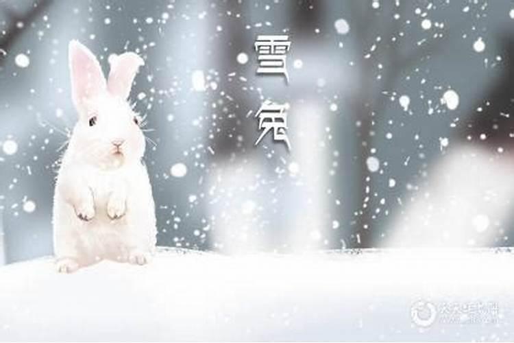 兔年本命年注意事项 兔年本命年不能干什么