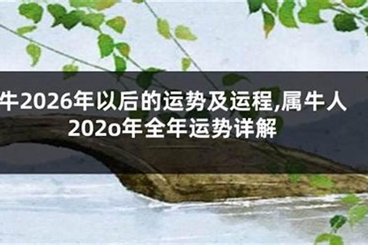 2025属牛今年有一难是什么 属牛2025年运势如何