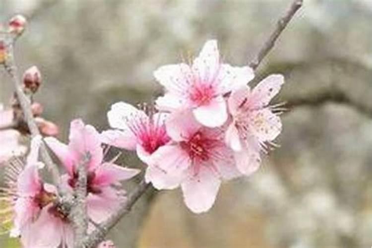 请大师给看下命