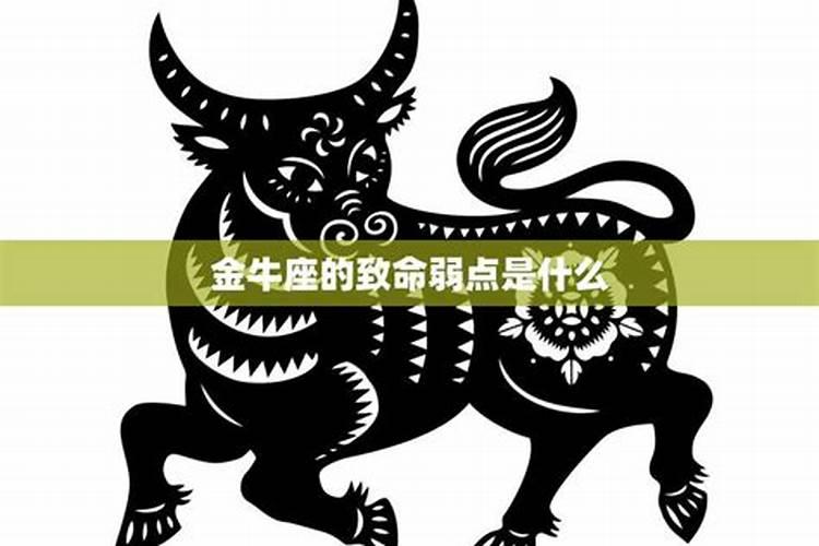 金牛座的致命弱点是什么