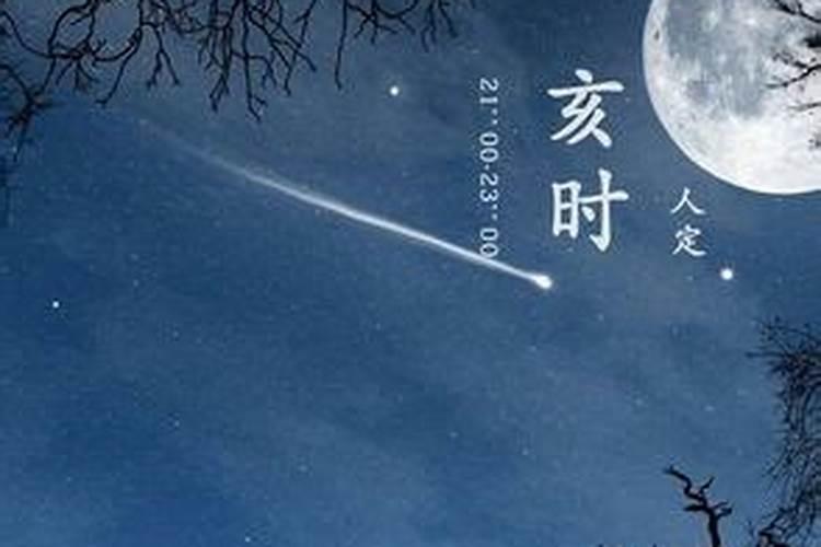 ...是个什么东西？是植物还是动物？真的会慢慢长大吗？