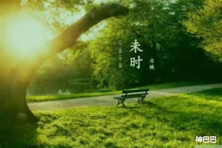 壬申年辛亥月丁亥日寅时生的人怎么样