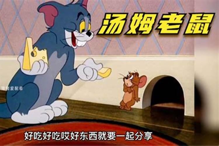 梦见老鼠和猫是什么意思