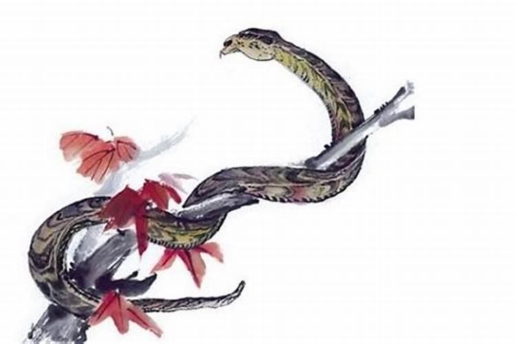 农历12月14日是什么星座