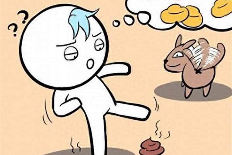 狗屎运是什么意思