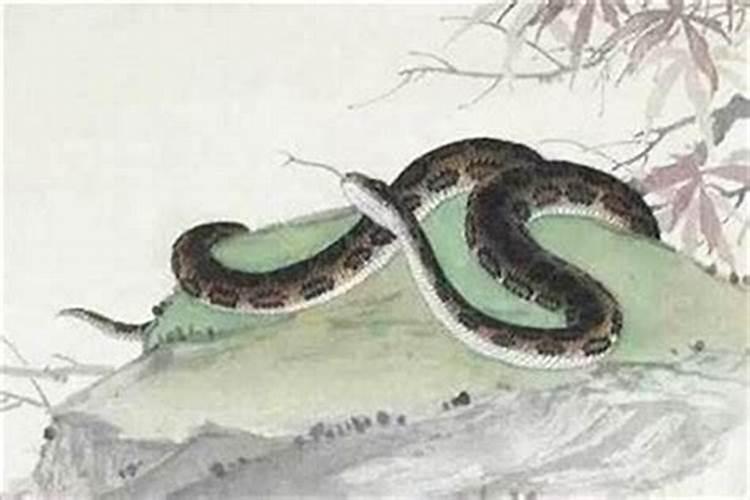 梦见别人的墓地的预兆