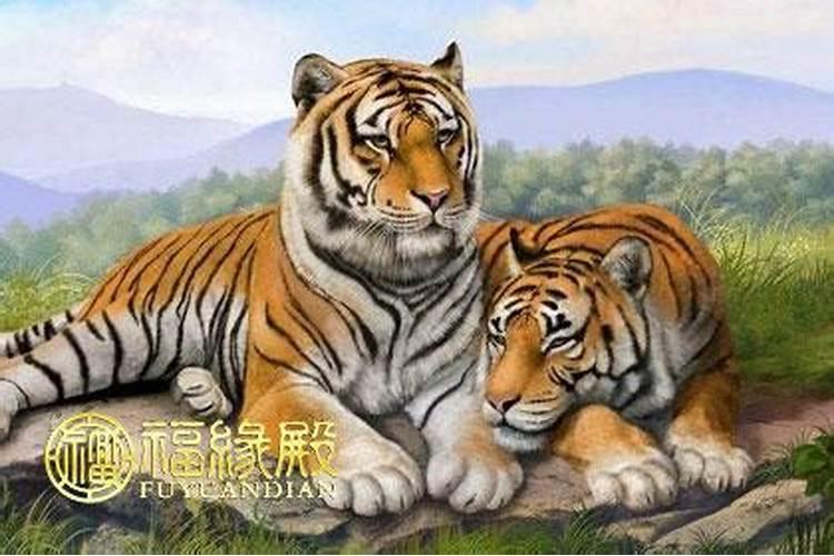 廿四小时时辰对照表
