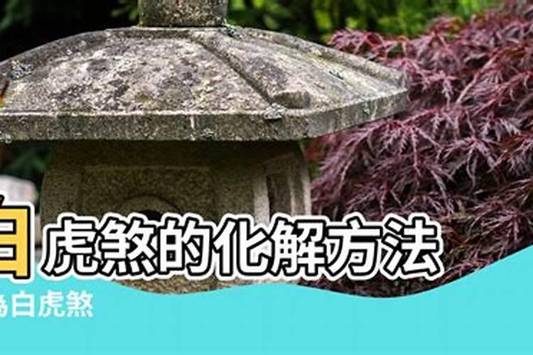梦见别人给我糖吃是什么预兆