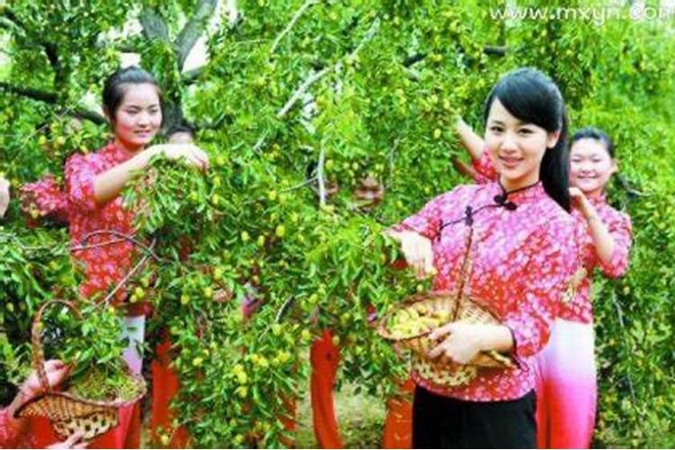 梦见在房上摘枣吃的预兆
