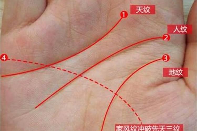 看手相真的准么？人的命运,生命,智力,婚姻等都是由手掌上的条纹决定么...