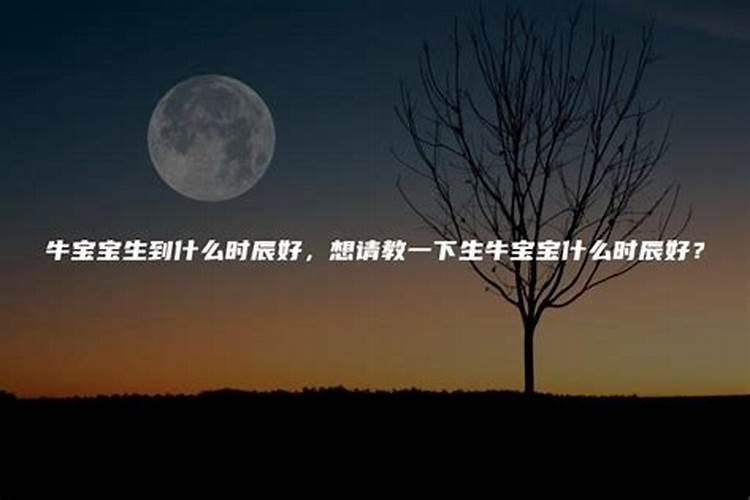 1982年是什么星座