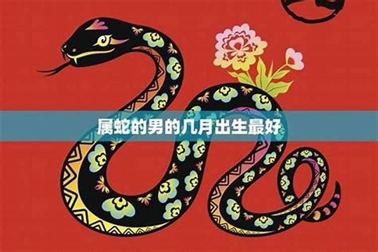 属蛇人运势农历一月出生的属蛇的运势好不好