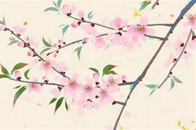 梦见男友跟我吵架后去找前女友的预兆