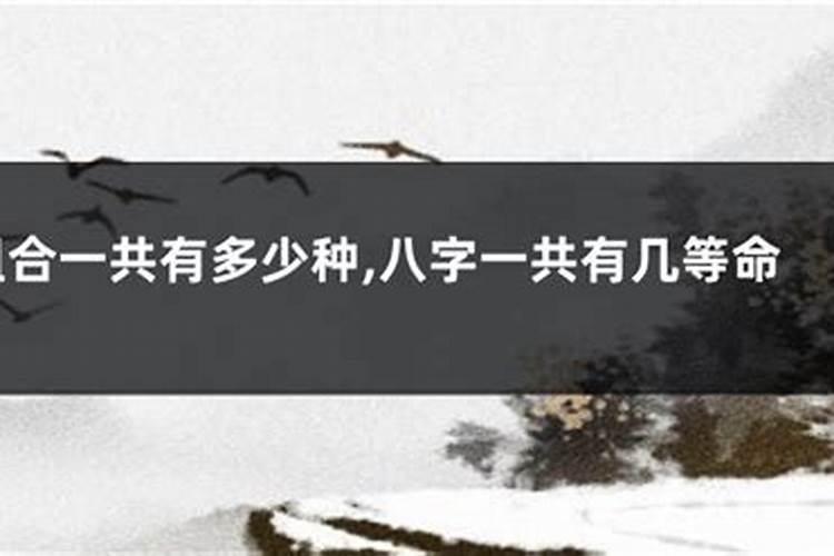 八字有六字合,合八字合了六个字是什么意思？