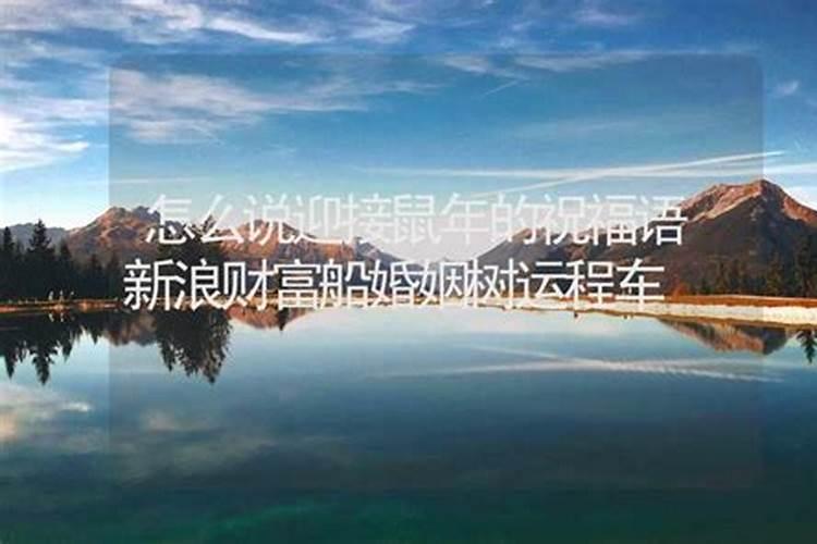 1987年属兔2025年的运势及运程如何