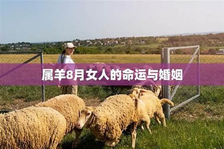 属羊的8月份运势如何