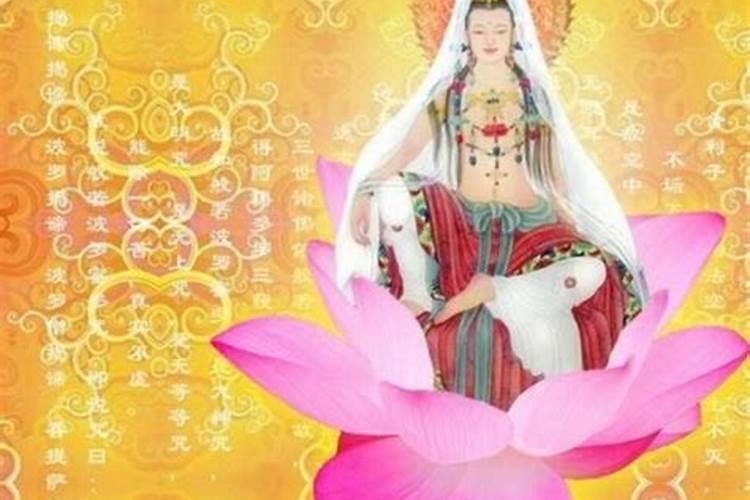 我怀孕了,听什么佛经对我上一个意外死去的女儿好