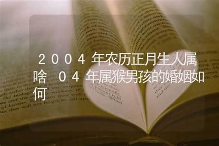 ...阴历2004年腊正月初二早晨4:30出生男性生辰八字怎样