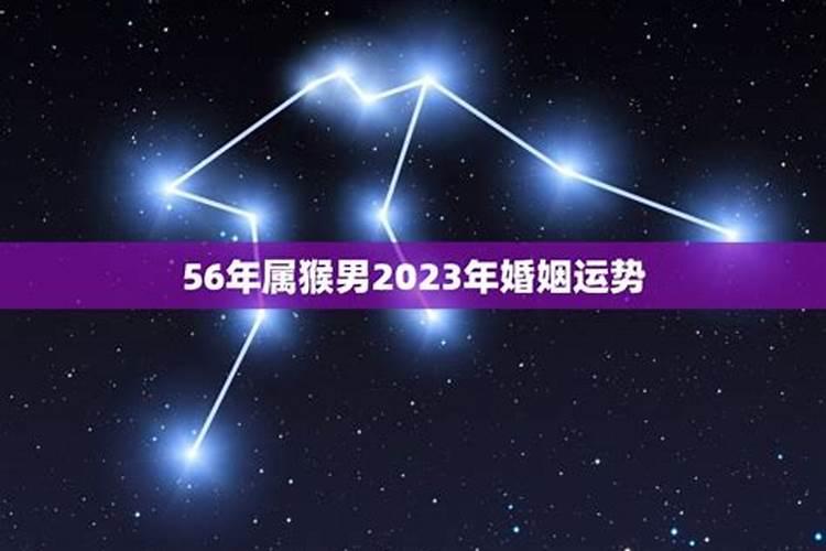 属猴的一生有几次婚姻 属猴的婚姻运势如何