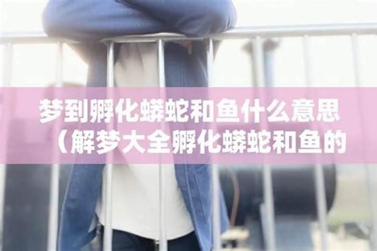 冬至能去娘家吃饭吗