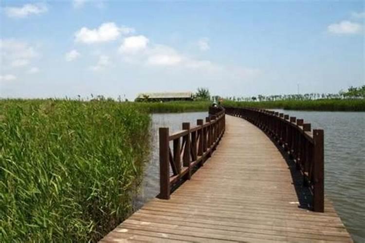 上海冬至吃什么菜