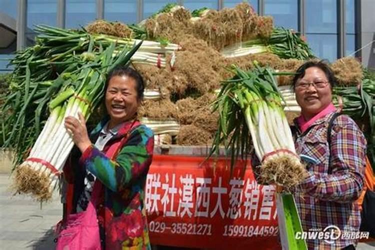梦见两捆大葱的预兆