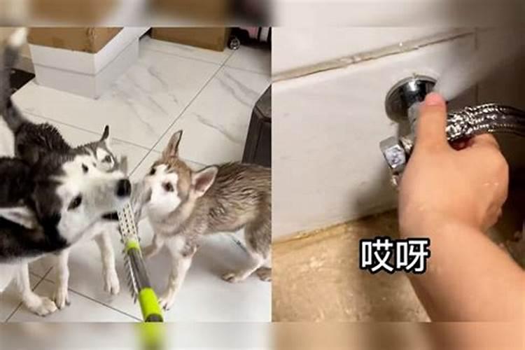 梦见别人家里都是水