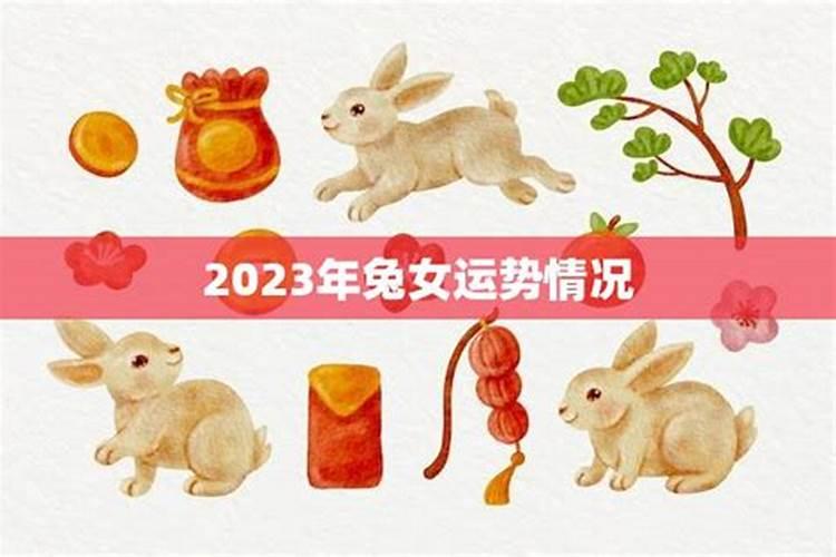 1975属兔女在2025年的每月运势