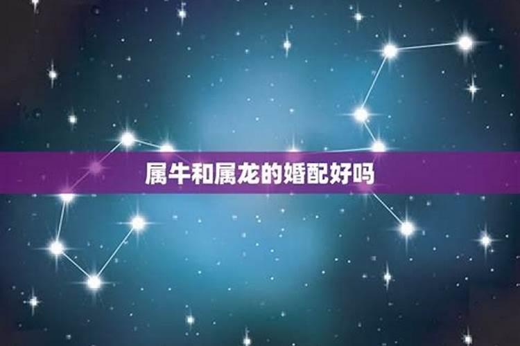 除夕夜要干些什么