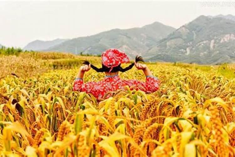 清明节祭奠先祖革命先烈的手抄报 革命先烈手抄报