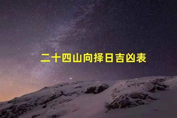 梦见一只死了的乌龟又活了