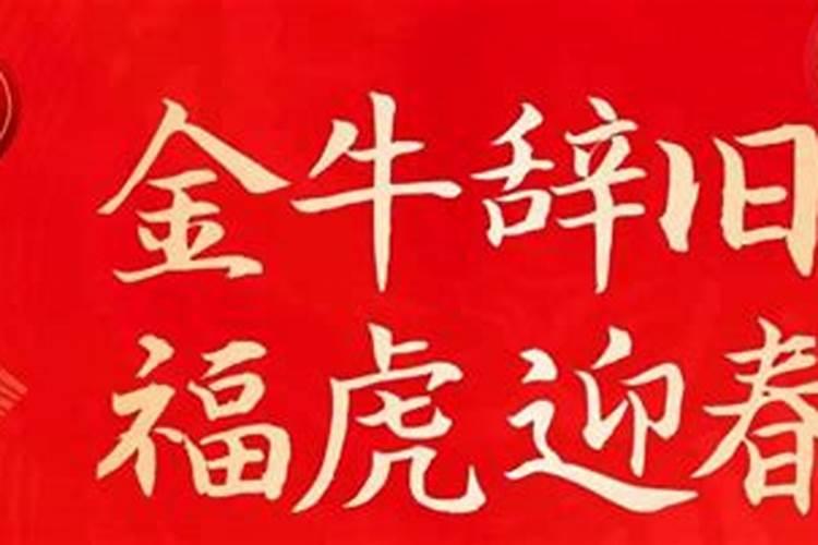 梦见在坟地被毒蛇咬的预兆