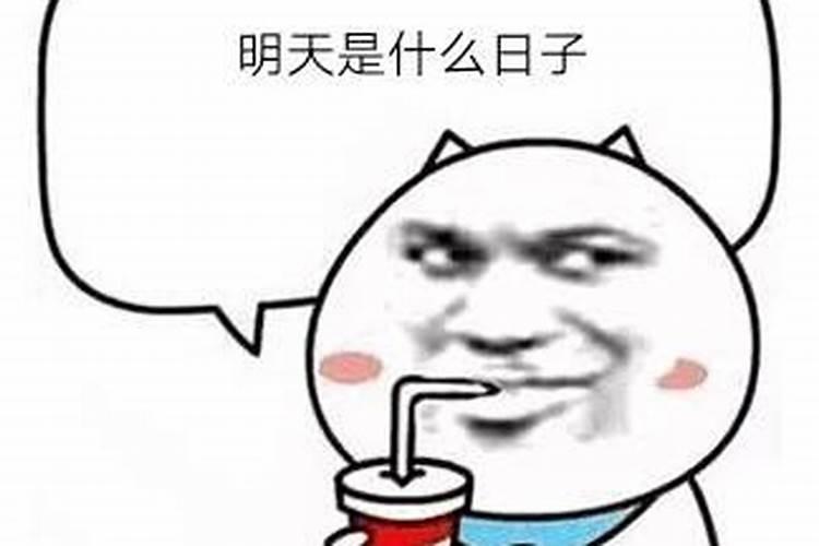 明天是个好日子下一句